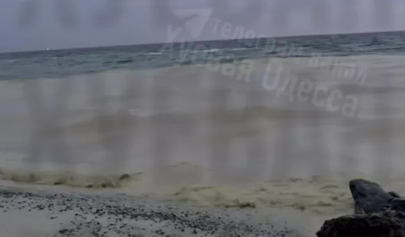 После удара по порту «Южный» растительное масло попало в Черное море / Скриншот