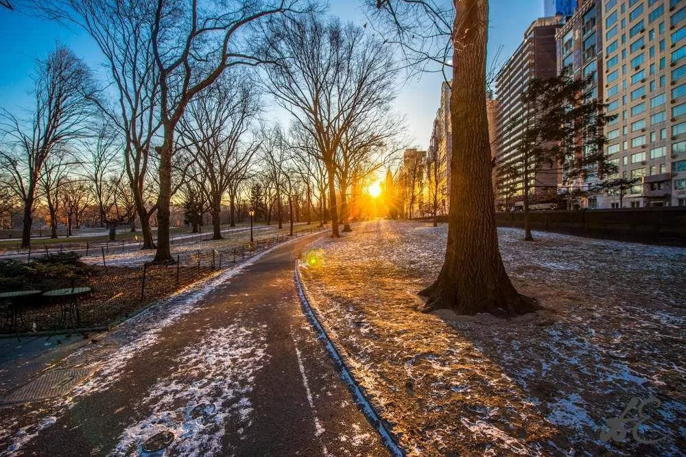 Зимовий ранок у Рівному / Фото: sfera-tv.com.ua