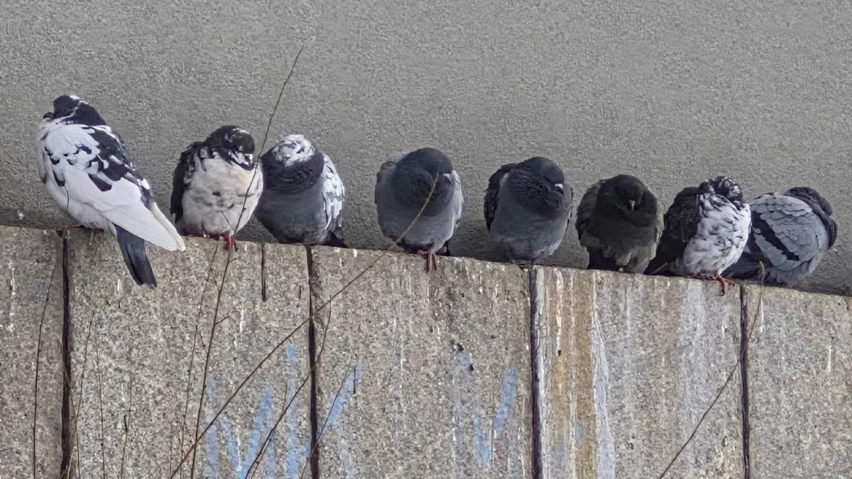 Иллюстративное фото / Фото из Facebook Kostiantyn Antonets