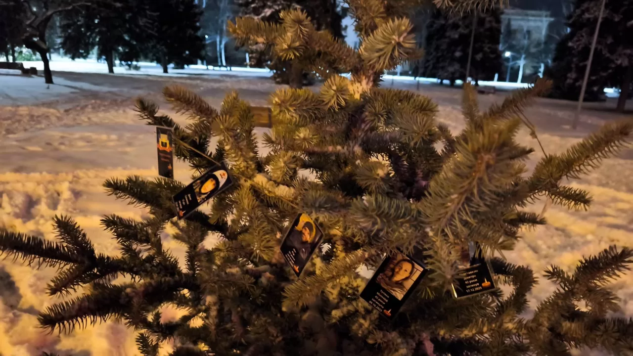 Christmas tree in memory of the volunteers who died / Photo: Oleksandr Kachura