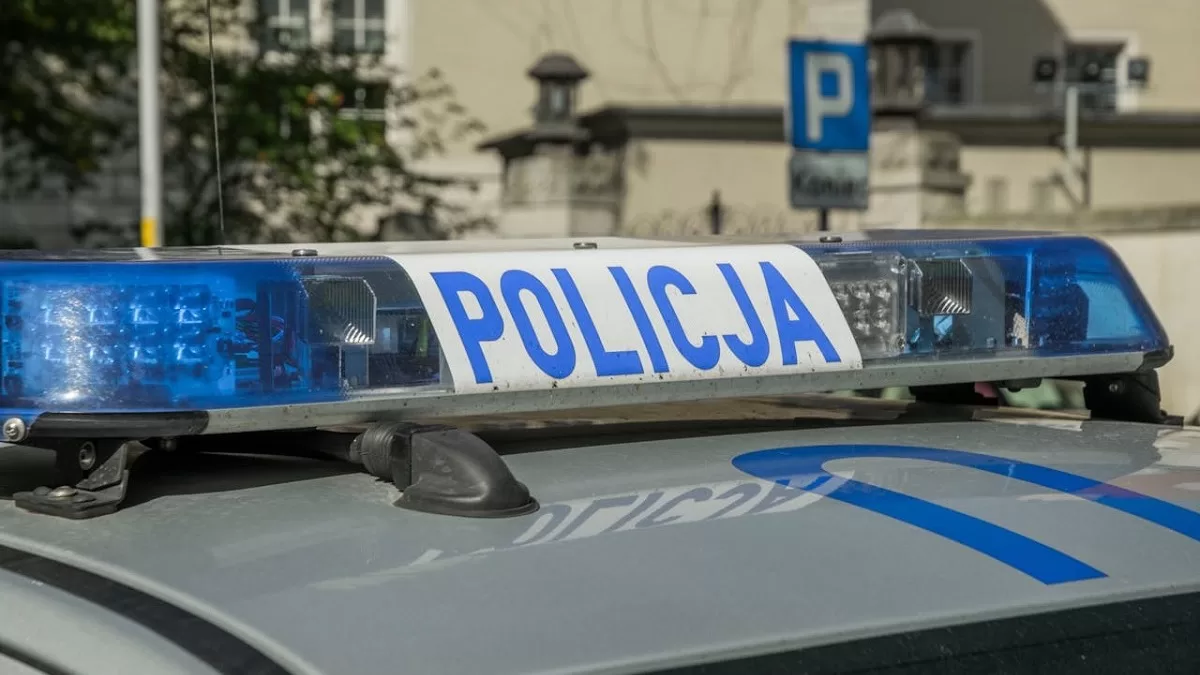 Иллюстративное фото / Фото SHOX art