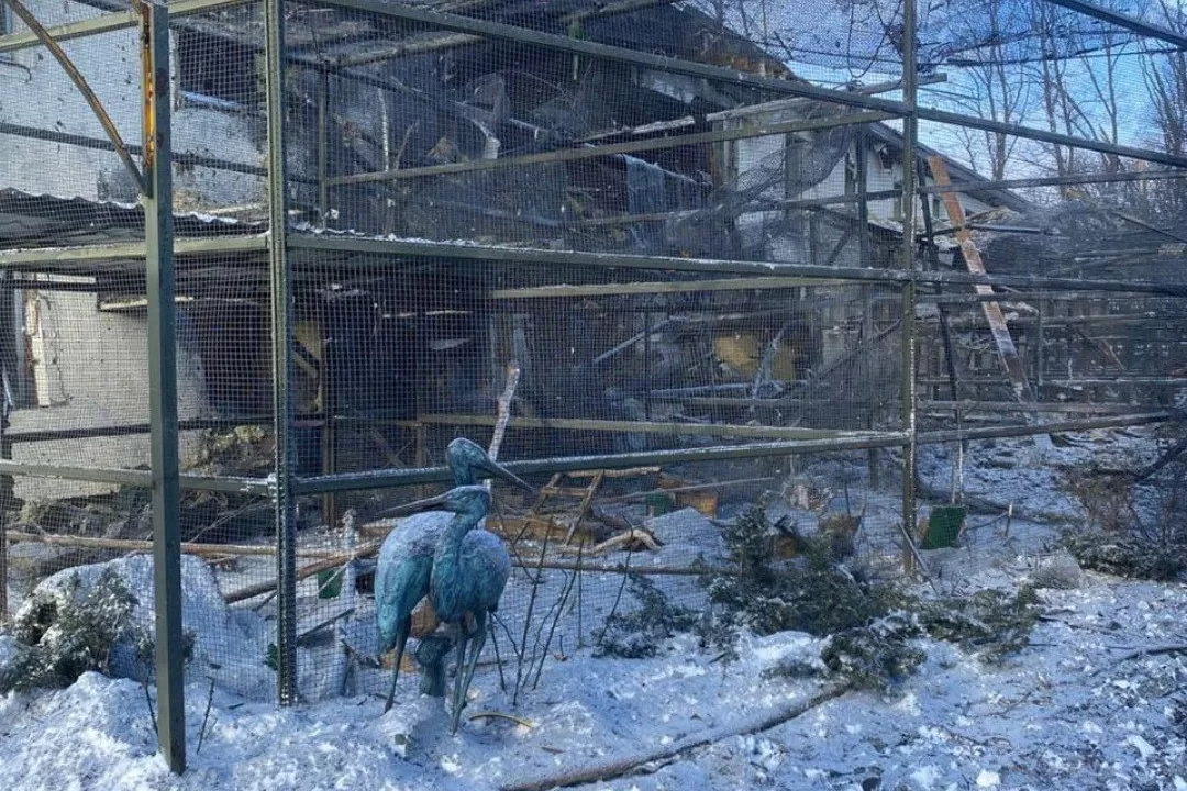 Экопарк под Харьковом после авиаудара / Фото: Полиция Харьковщины