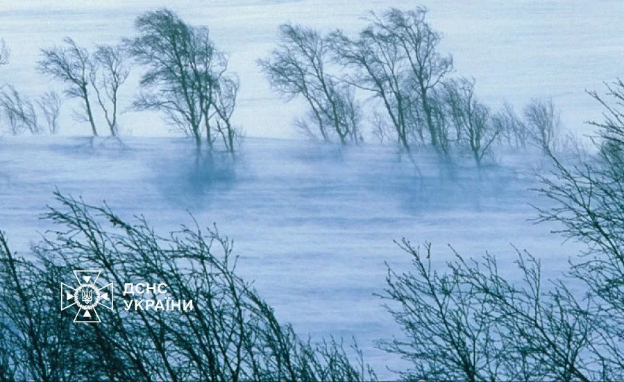 Ілюстративне фото ДСНС України