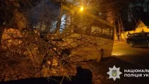 Нетрезвый мужчина угнал автобус в Киеве и протаранил авто и дерево / Фото: Нацполиция