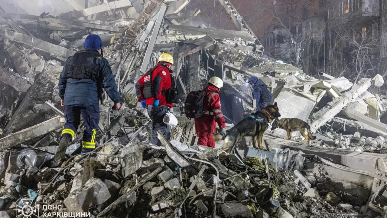 Ілюстративне фото / Фото ДСНС