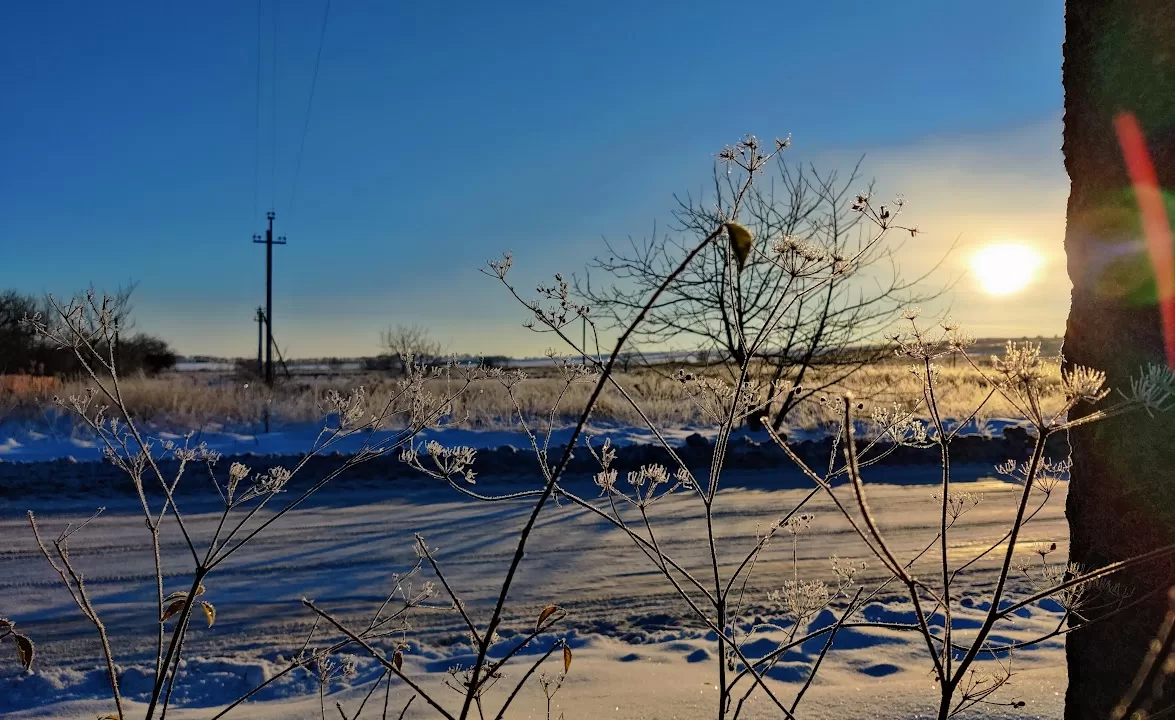 Заснеженный Сокаль, Львовская область / Фото: Головне в Україні