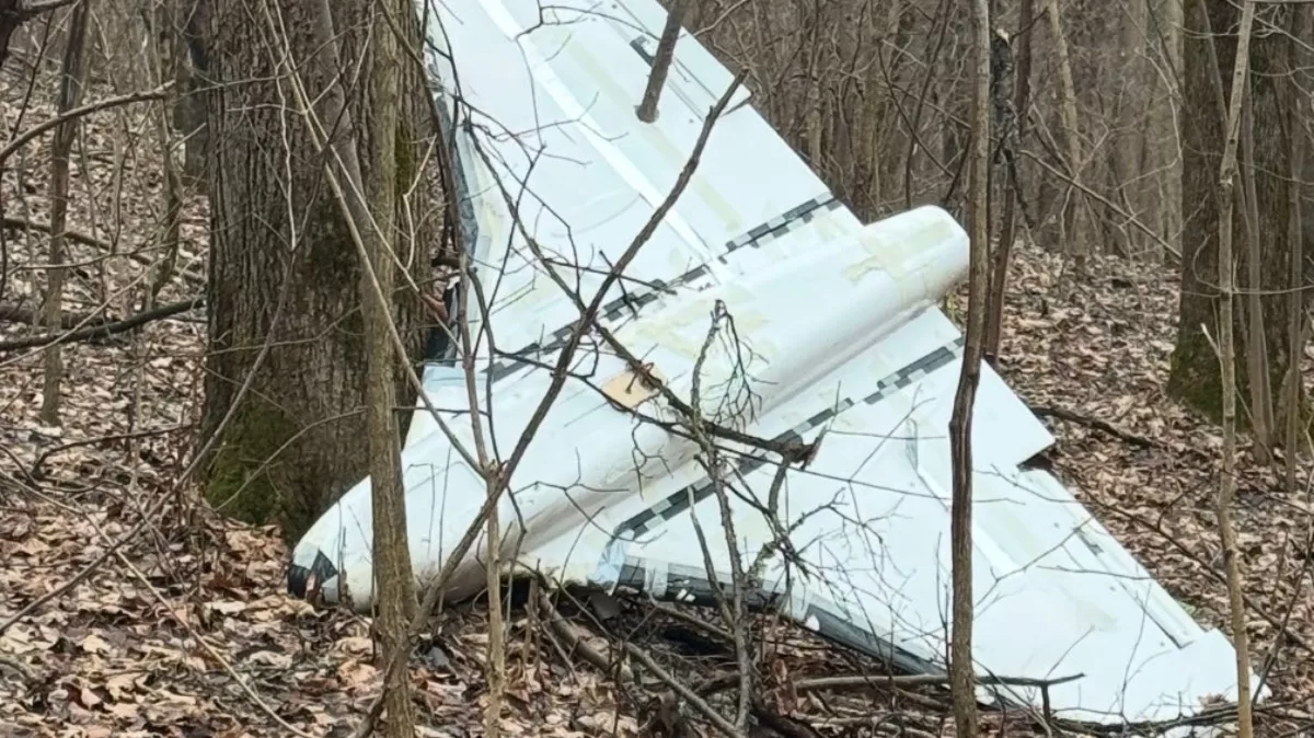 Знешкоджена “Гербера”. Ілюстративне фото/ Фото з x.com/Kontuzich