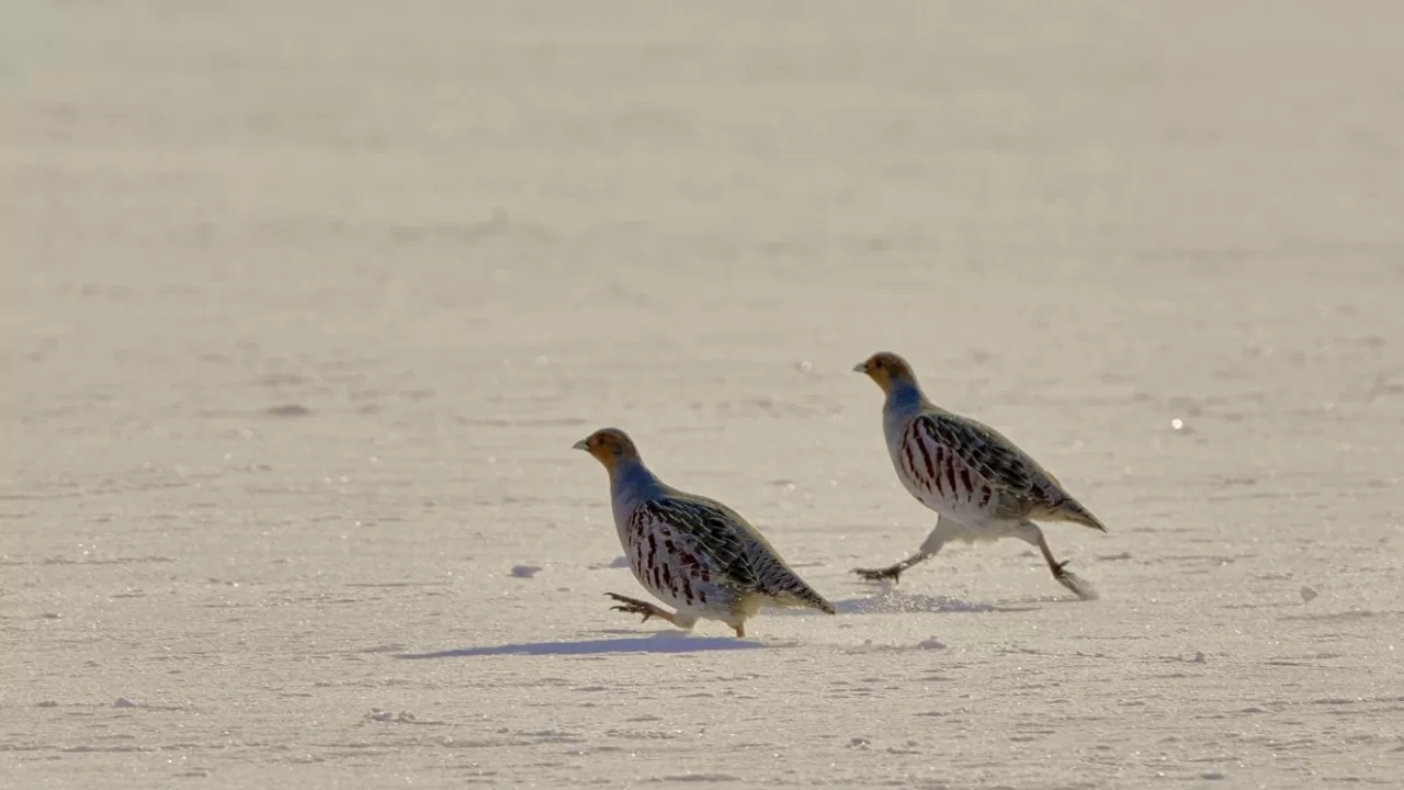 Иллюстративное фото: Игорь Поддубный/Facebook