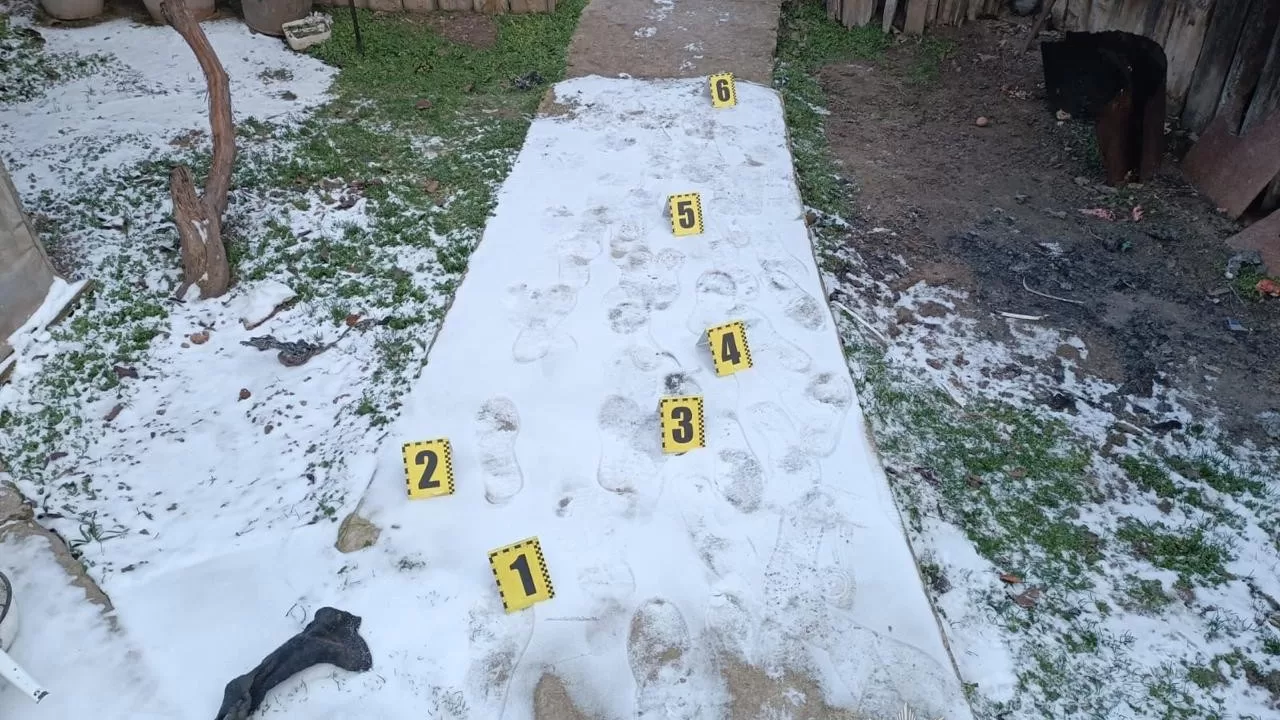 Вещественные доказательства на месте разбойного нападения / Фото: ГУНП в Одесской области