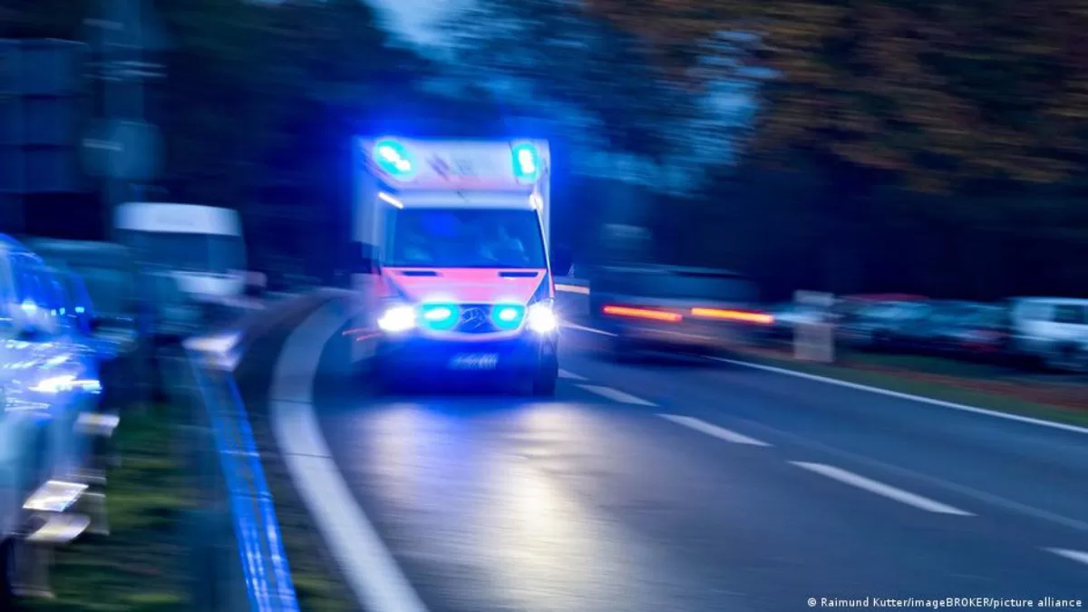 Иллюстративное фото / Фото picture alliance