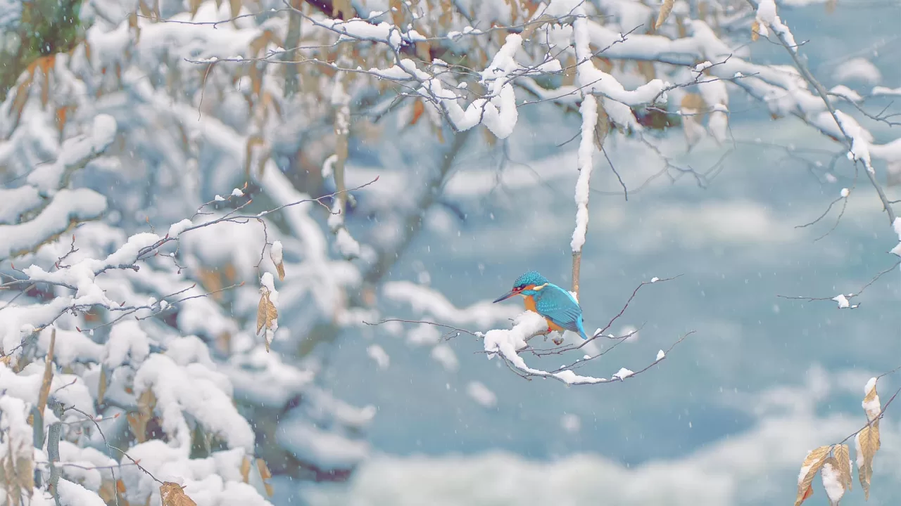 Ілюстративне фото: Ігор Піддубний/Facebook