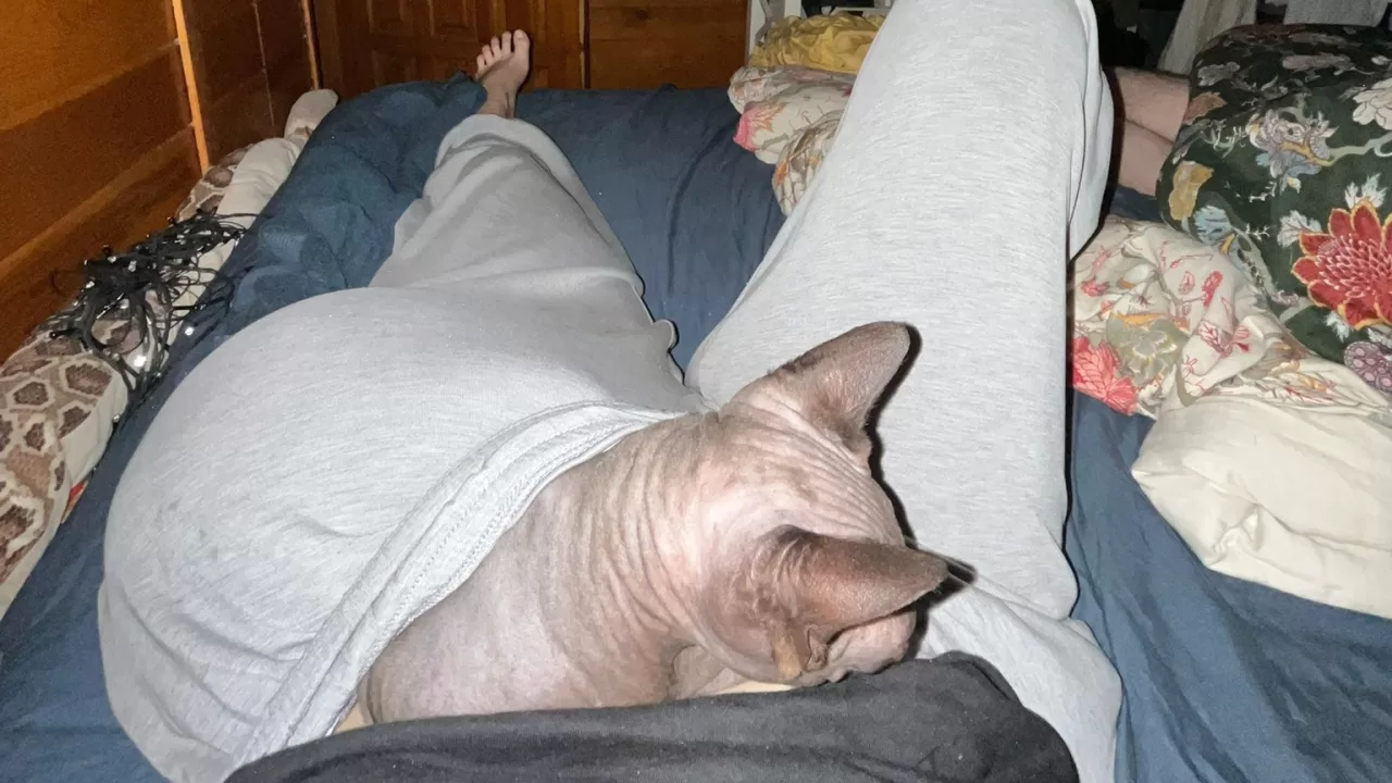 Идеальной позы для сна не существует / Фото x.com/olilisowska