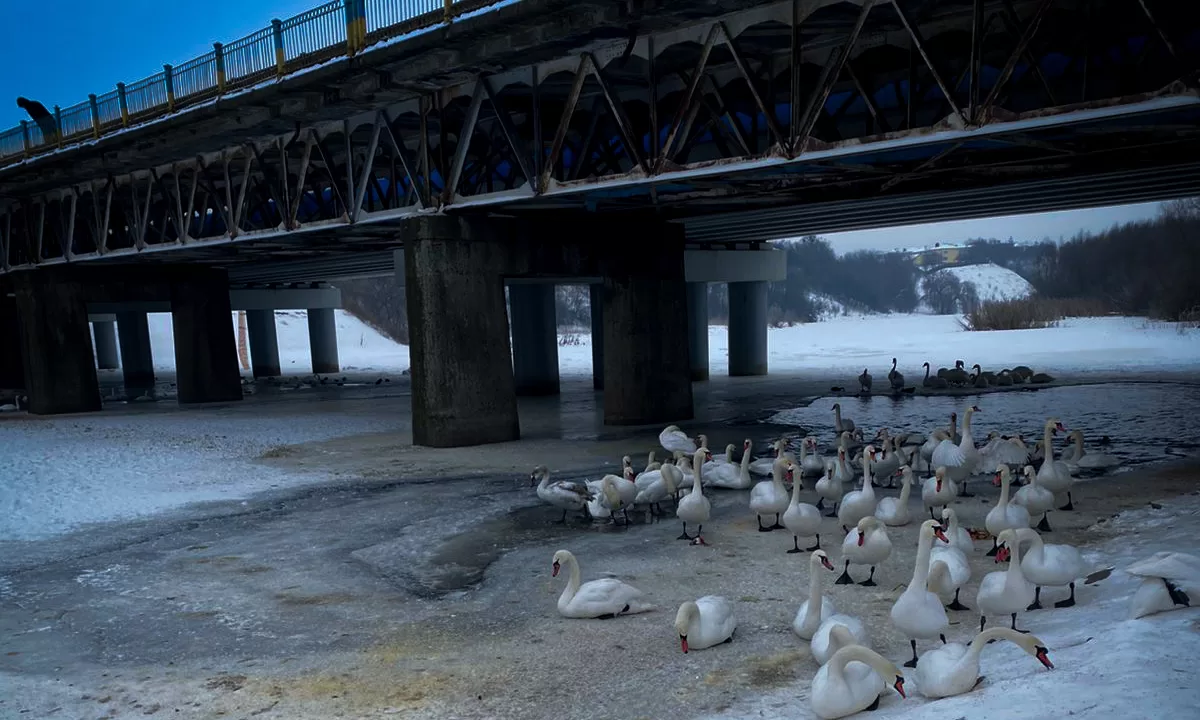На Львівщині жінка провалилася під кригу / Фото: ДСНС