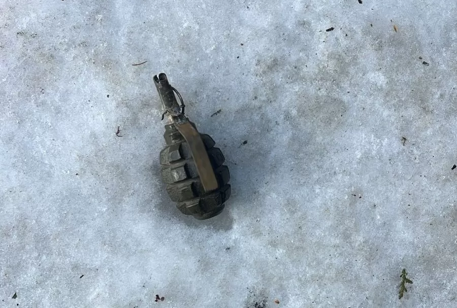 Граната Ф-1 / Фото: ГУНП у Львівській області