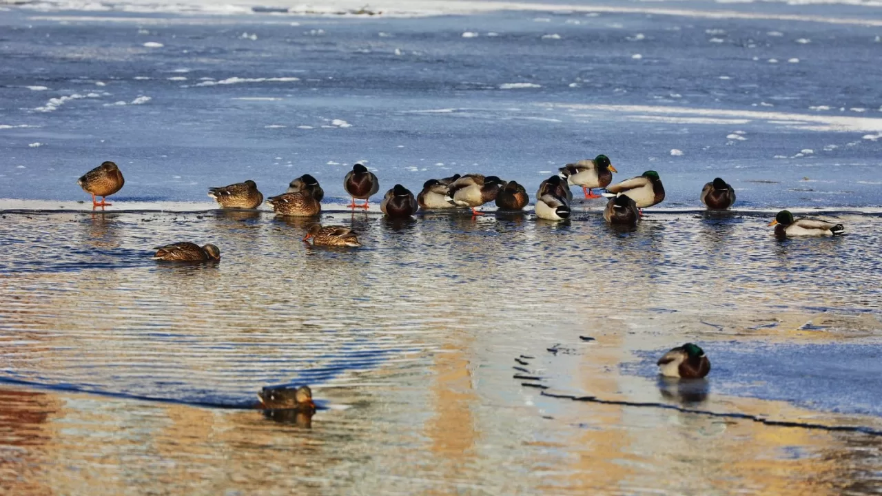 Ілюстративне фото: Ігор Піддубний/Facebook