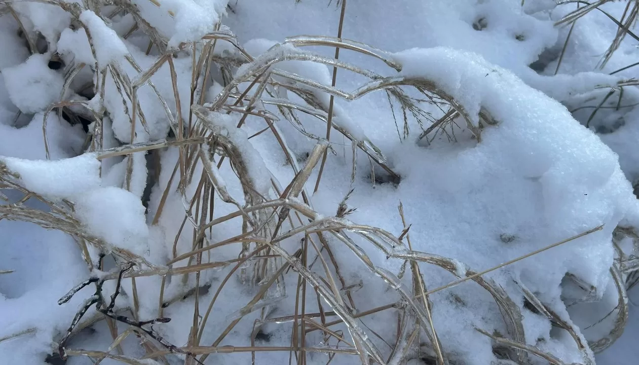 Ілюстративне фото: Наталка Діденко