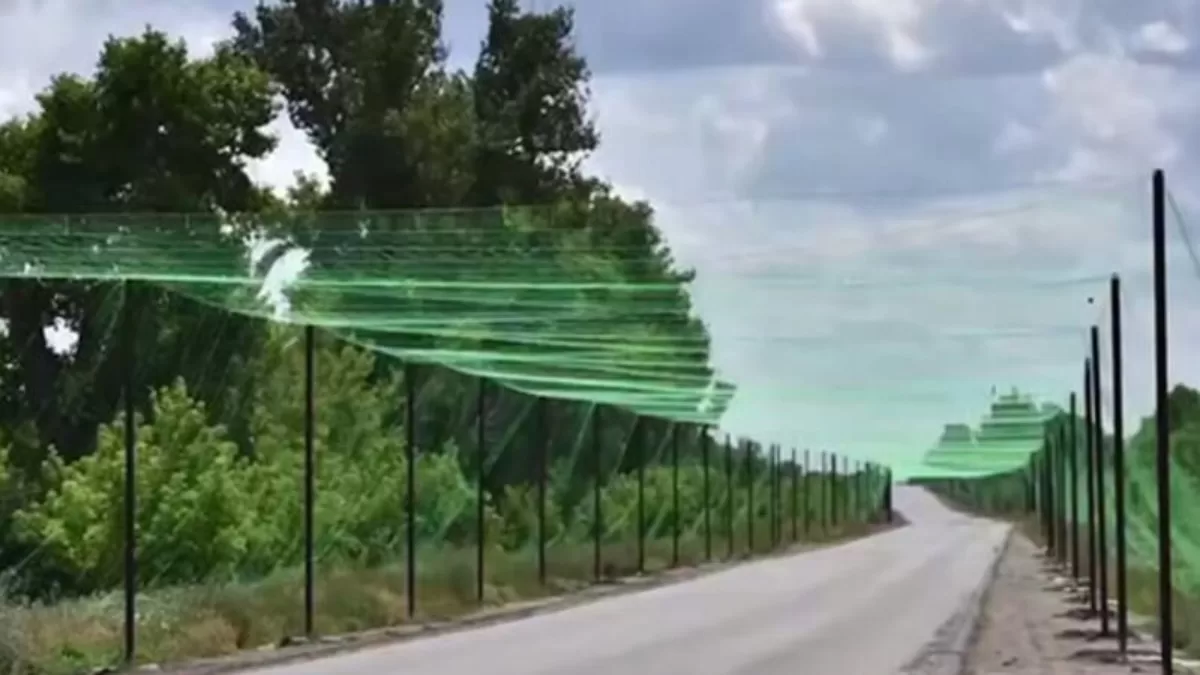 Антидроновий тунель. Архівне фото / Фото з x.com/dmitry_gordon