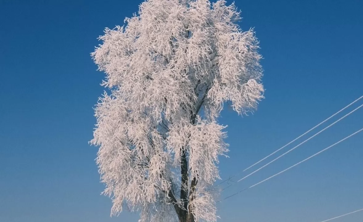 Ілюстративне фото: Антон Птушкін/Facebook