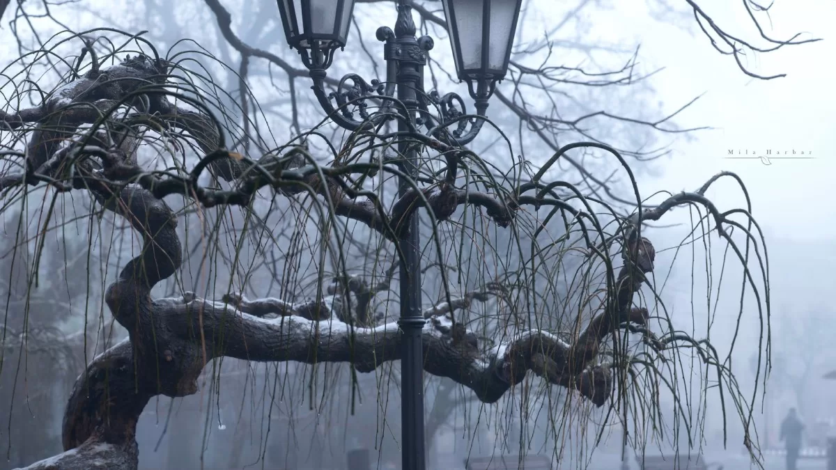 Туман в Одесі / Фото з Facebook Mila Harbar