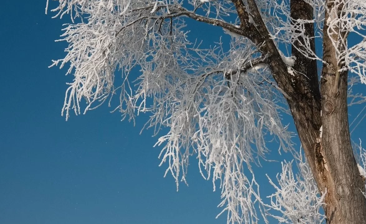 Иллюстративное фото: Anton Ptushkin/Facebook