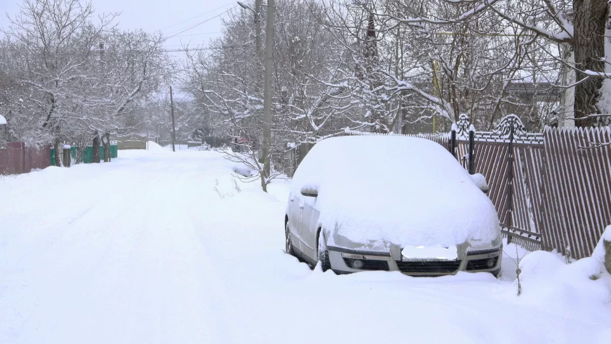 Зима на Глибоччині. Чернівецька область / Фото з Facebook Петро Митранюк