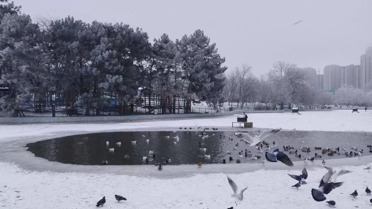 Парк "Перемоги" в Одесі / Фото: Telegram "ЖКС Одеси"