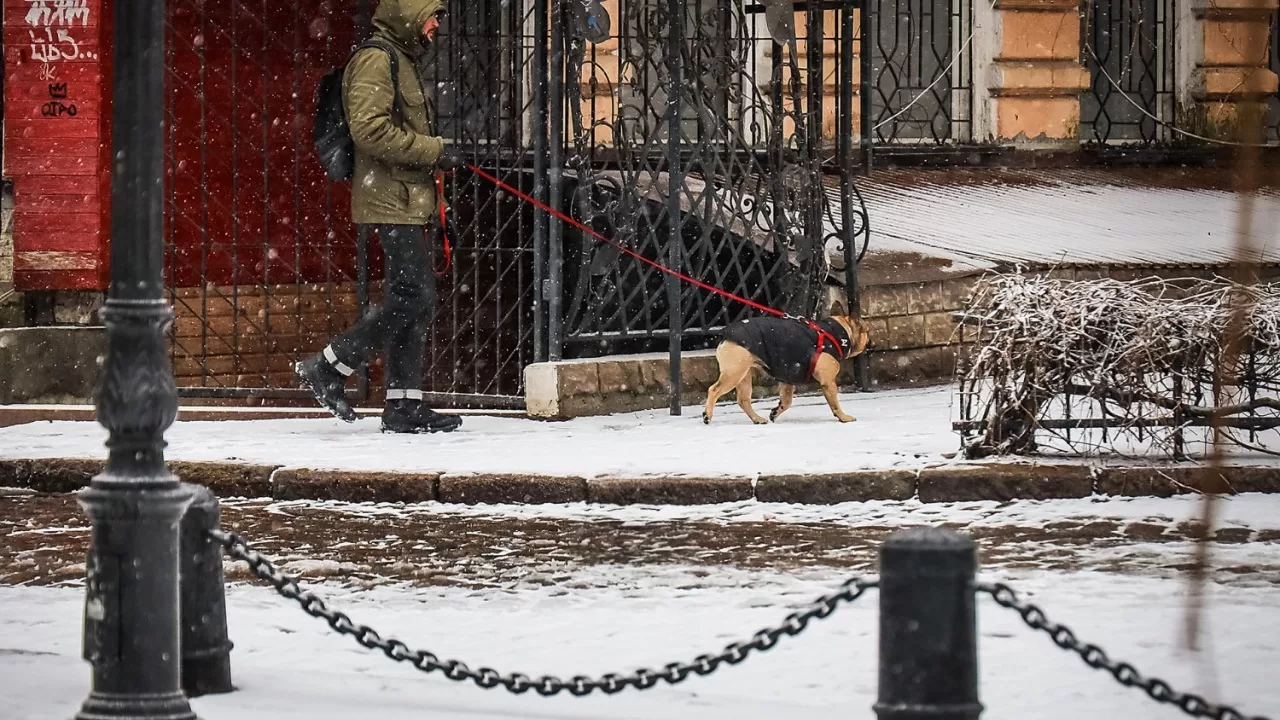 Зимняя Одесса / Фото: Думская