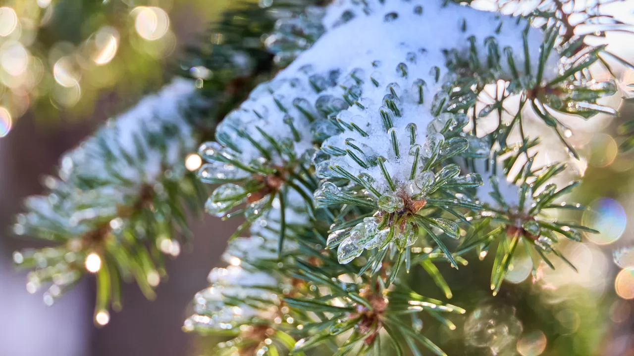 Иллюстративное фото: Сергей Козлов/Facebook