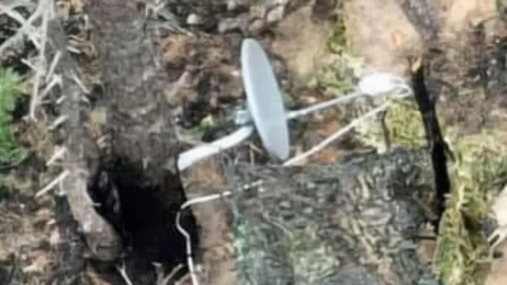 Антени мають вигляд супутникових телевізійних тарілок діаметром приблизно 60–120 сантиметрів овальної або круглої форми / Фото t.me/serhii_flash