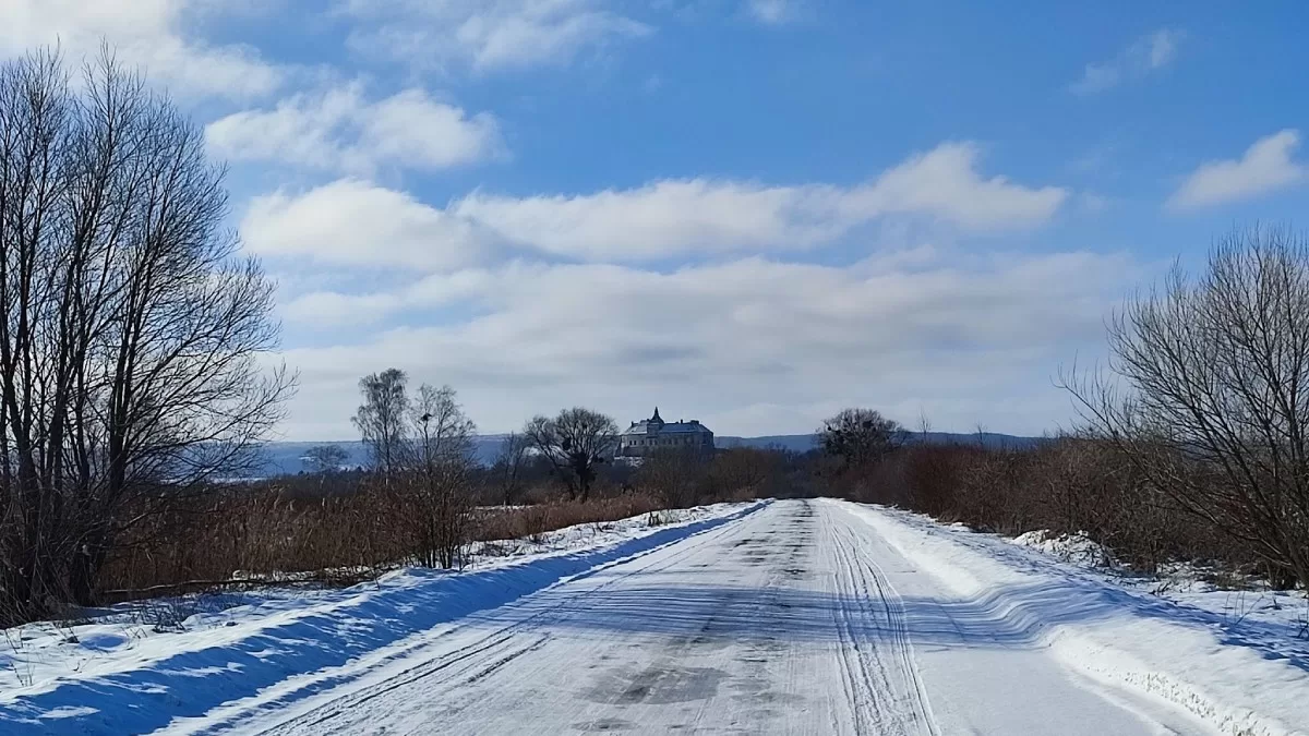 Зимова дорога. А вдалині Олеський замок / Фото з Facebook Jane Marple
