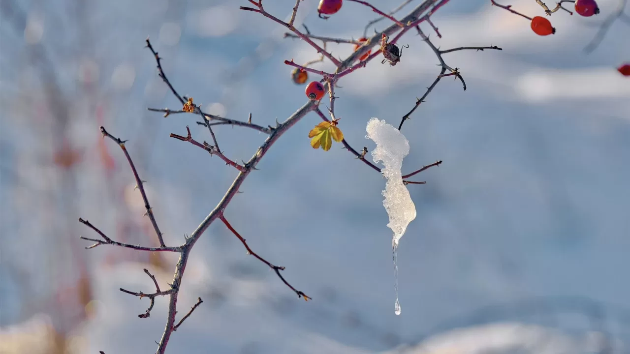 Иллюстративное фото: Игорь Поддубный/Facebook