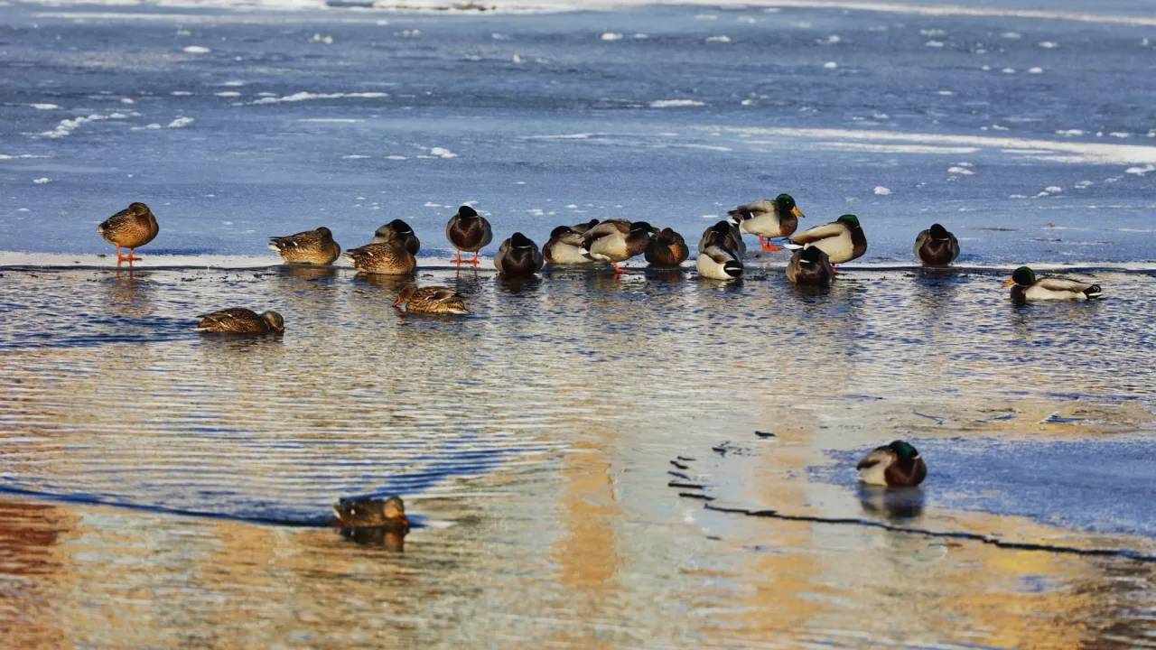 Ілюстративне фото: Ігор Піддубний/Facebook