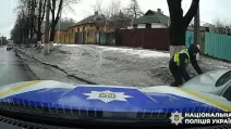 В Харькове водитель, которого разыскивал ТЦК, сбил полицейскую / Скриншот