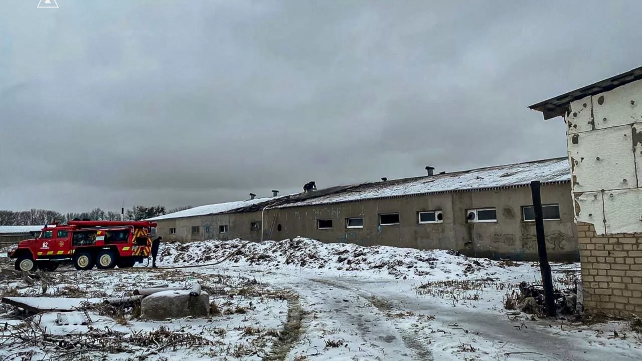 Спасатели на месте удара РФ по свиноферме в Харьковской области / Фото: ГСЧС