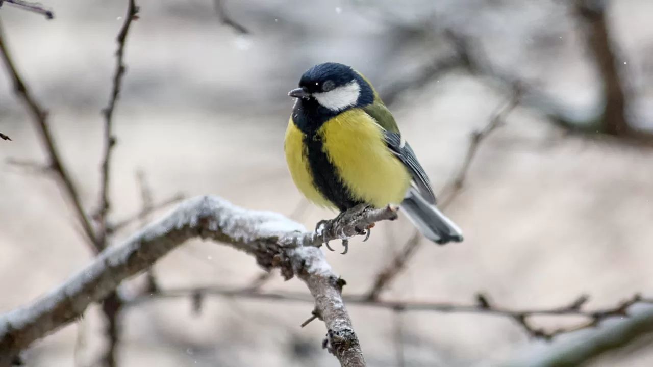 Ілюстративне фото: Сергій Козлов/Facebook