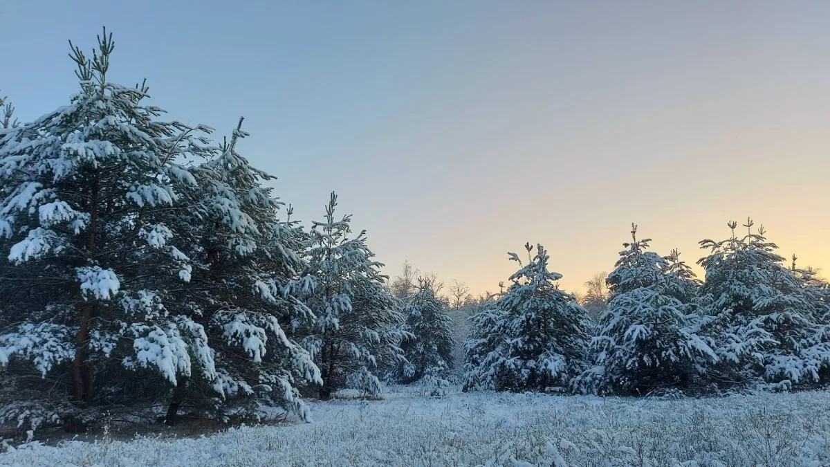 Полтавщина за неделю до весны / Фото с Facebook Yevheniia Bondarenko