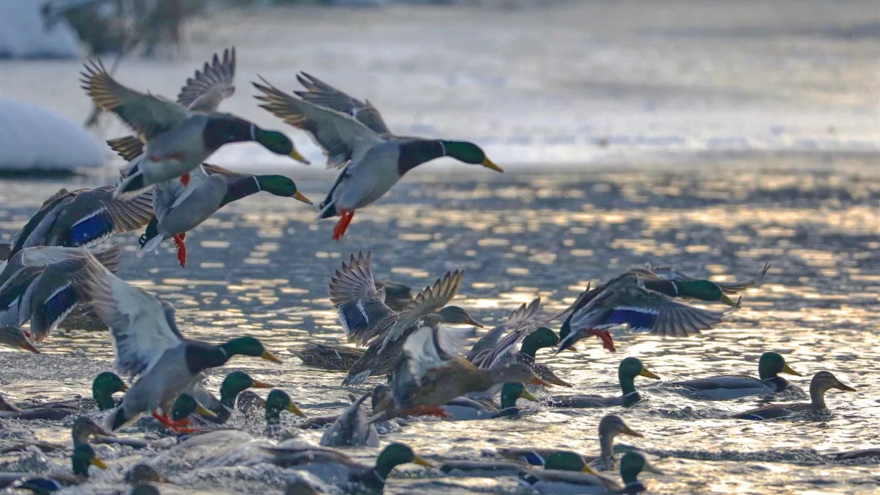 Ілюстративне фото: Ігор Піддубний/Facebook