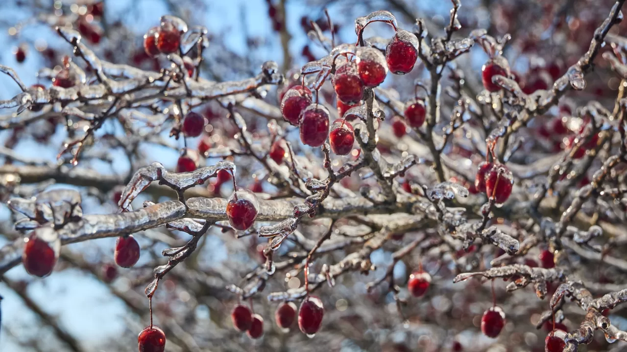 Иллюстративное фото: Сергей Козлов/Facebook