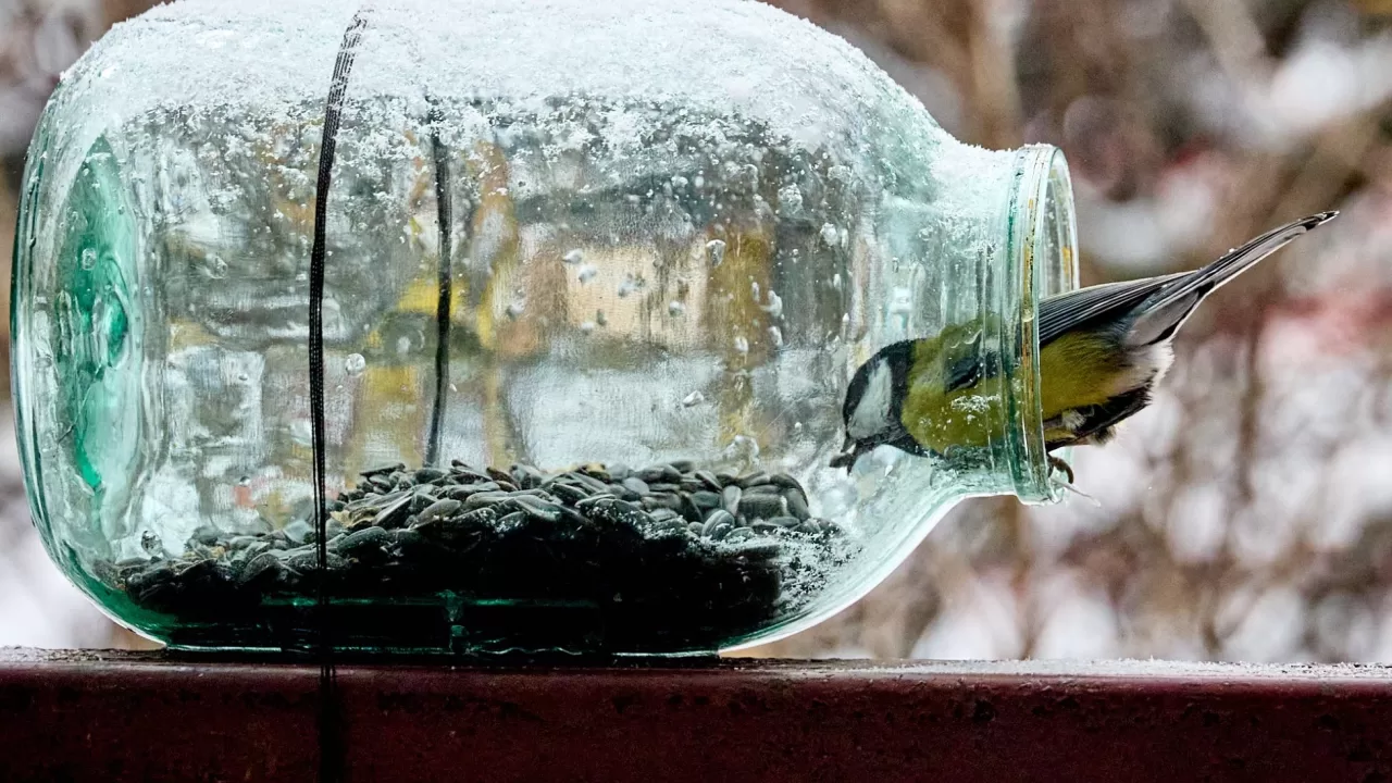Ілюстративне фото: Сергій Козлов/Facebook