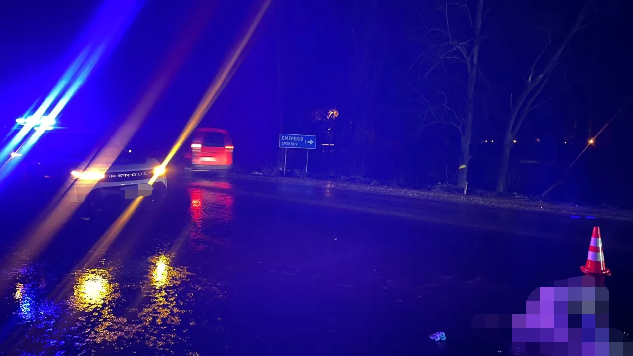 Во Львовской области прокурор сбил несовершеннолетних брата с сестрой, девочка погибла / Фото: ГБР