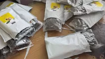 Наркотики замість сухофруктів намагалися ввезти в Україну / Фото: Державна митна служба України