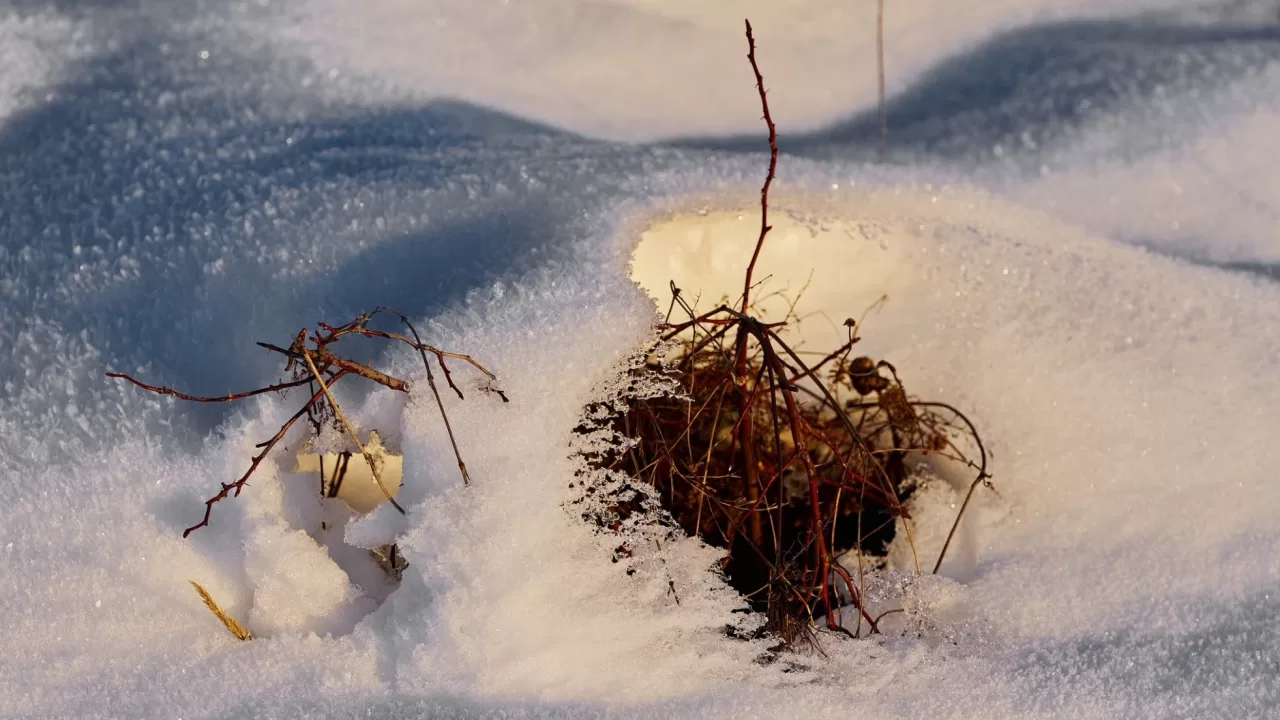 Ілюстративне фото: Ігор Піддубний/Facebook