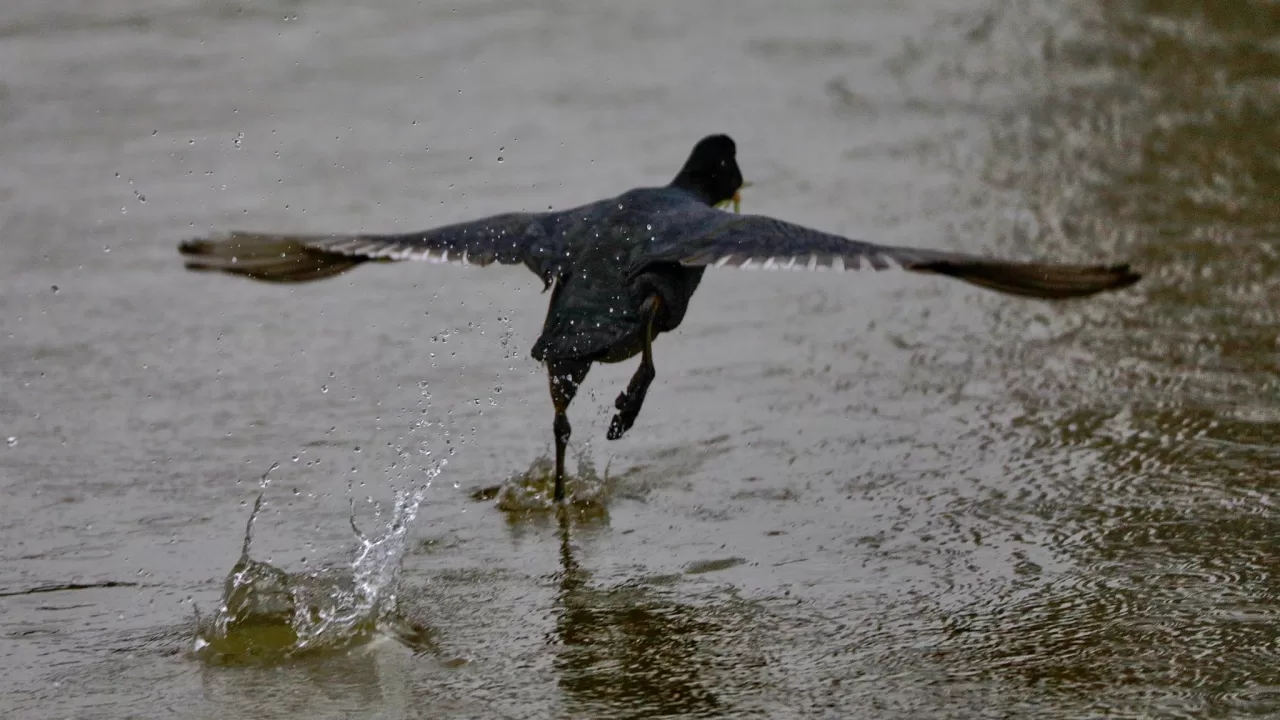 Иллюстративное фото: Игорь Поддубный/Facebook