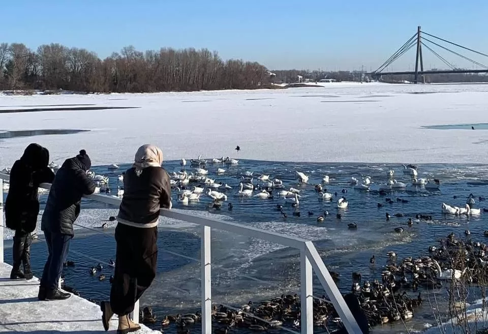 Озеро на Оболони / Фото: Київ ІНФО 