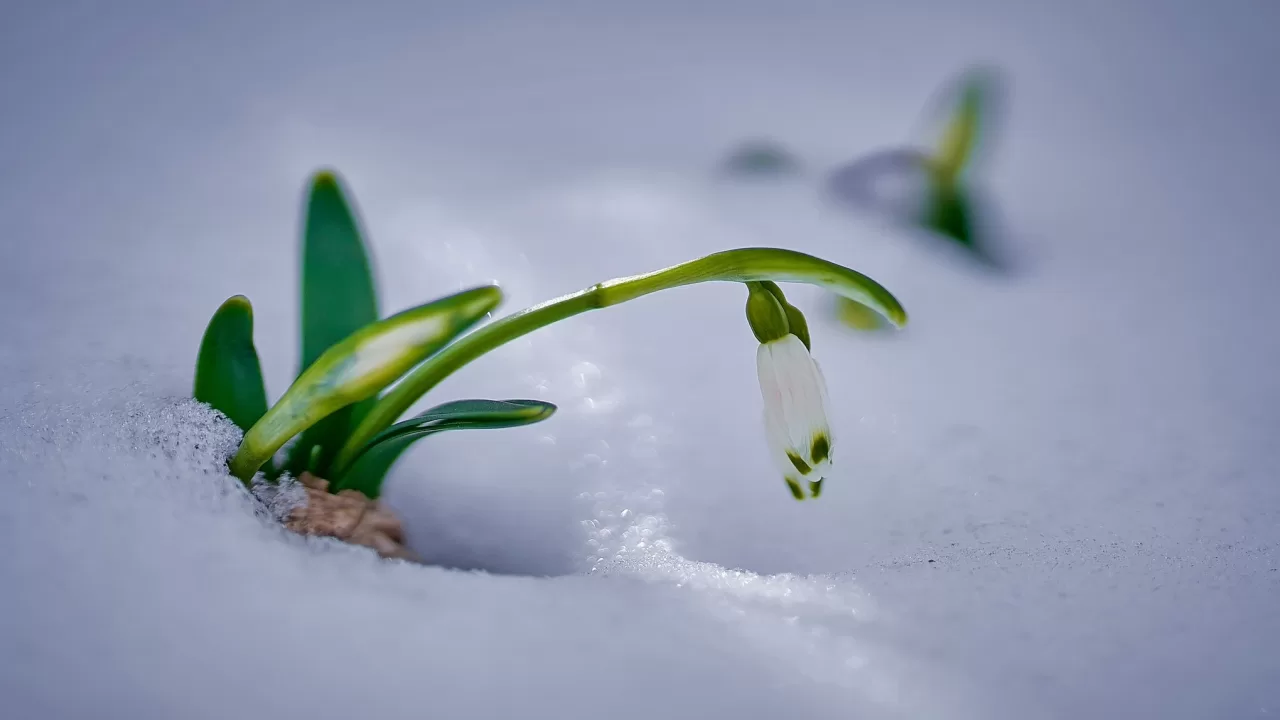 Иллюстративное фото: Игорь Поддубный/Facebook