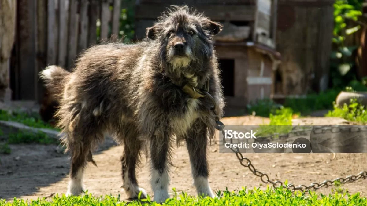 Иллюстративное фото / Фото iStock