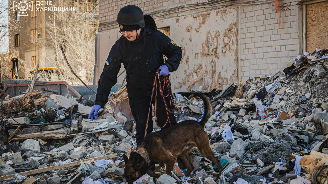 Пошукова операція у Харкові / Фото: ДСНС
