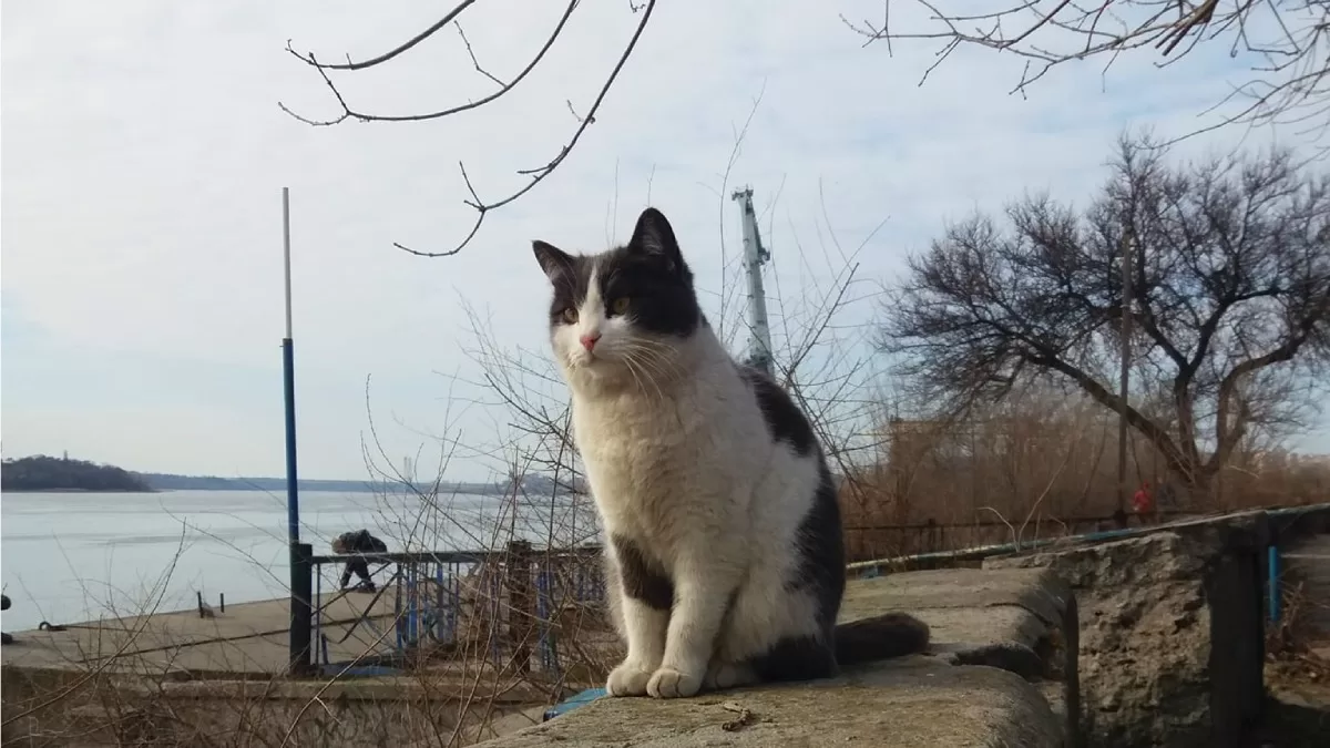 Иллюстративное фото / Фото facebook.com/kostiantyn.antonets