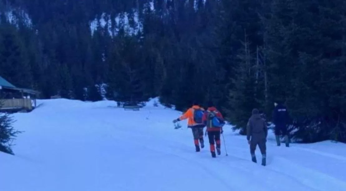 Поисковая операция в горах в Закарпатье / Фото: t.me/VGlagola