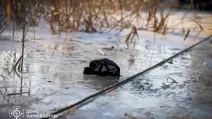 В Харькове местный житель вытащил из воды четверых детей, двое не выжили / Фото: ГСЧС